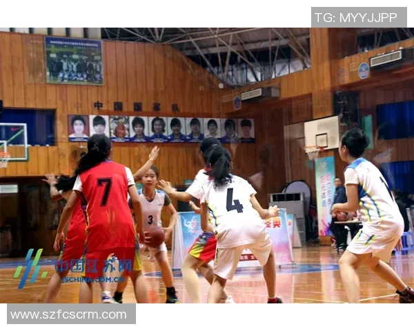 南京篮球队的转型之路与未来发展展望解析