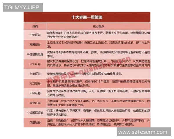 南京排球队防守策略解析与实战表现全面分析